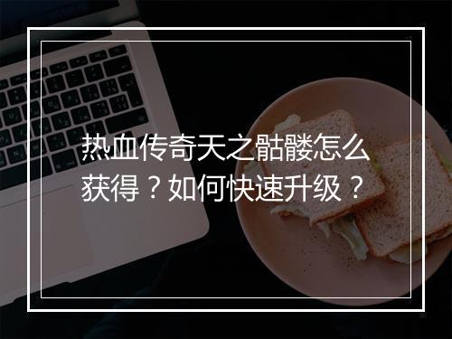 热血传奇天之骷髅怎么获得？如何快速升级？