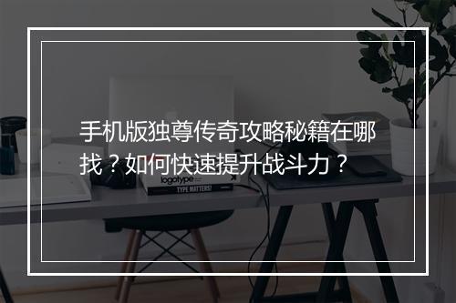 手机版独尊传奇攻略秘籍在哪找？如何快速提升战斗力？