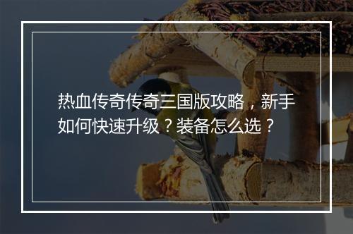 热血传奇传奇三国版攻略，新手如何快速升级？装备怎么选？