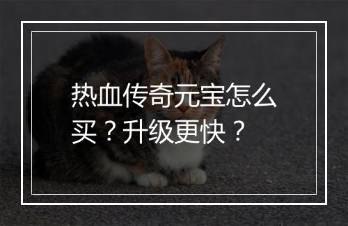 热血传奇元宝怎么买？升级更快？