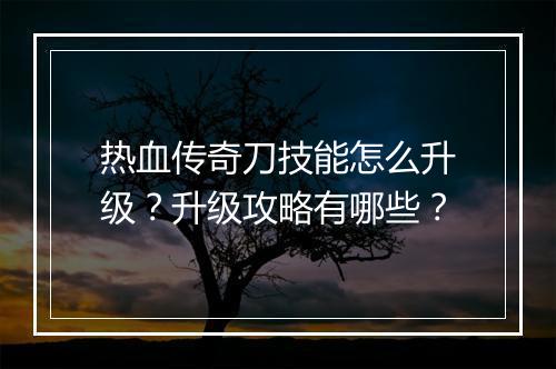 热血传奇刀技能怎么升级？升级攻略有哪些？