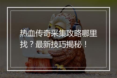 热血传奇采集攻略哪里找？最新技巧揭秘！