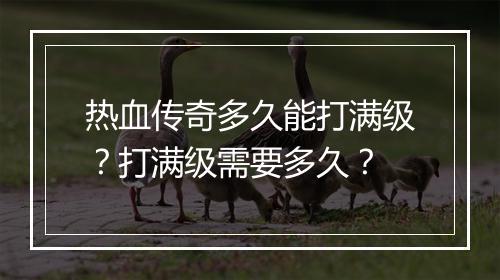 热血传奇多久能打满级？打满级需要多久？