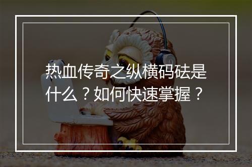 热血传奇之纵横码砝是什么？如何快速掌握？