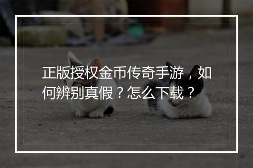 正版授权金币传奇手游，如何辨别真假？怎么下载？