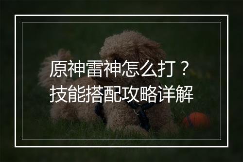 原神雷神怎么打？技能搭配攻略详解
