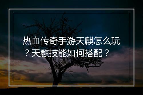 热血传奇手游天麒怎么玩？天麒技能如何搭配？