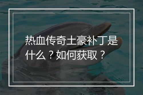 热血传奇土豪补丁是什么？如何获取？