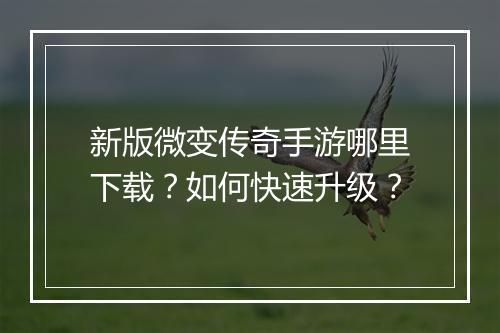 新版微变传奇手游哪里下载？如何快速升级？