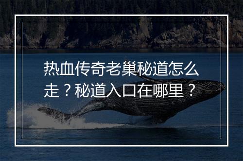 热血传奇老巢秘道怎么走？秘道入口在哪里？