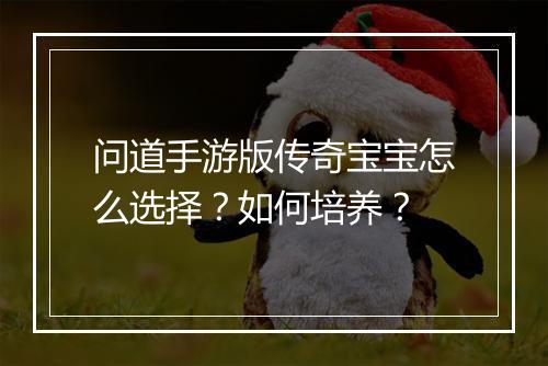 问道手游版传奇宝宝怎么选择？如何培养？