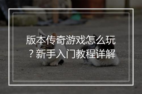 版本传奇游戏怎么玩？新手入门教程详解
