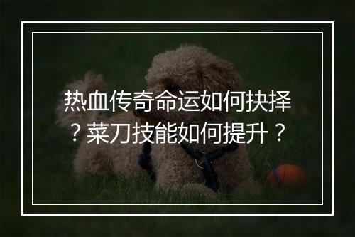 热血传奇命运如何抉择？菜刀技能如何提升？