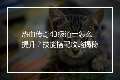 热血传奇43级道士怎么提升？技能搭配攻略揭秘
