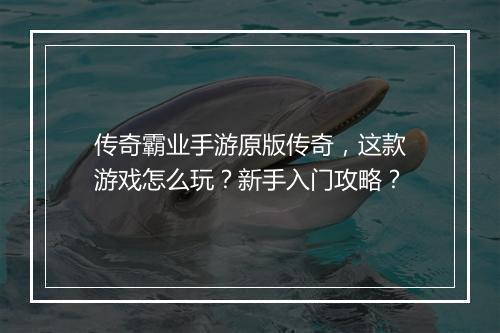 传奇霸业手游原版传奇，这款游戏怎么玩？新手入门攻略？