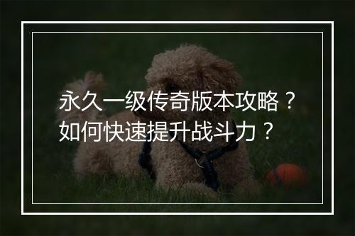 永久一级传奇版本攻略？如何快速提升战斗力？