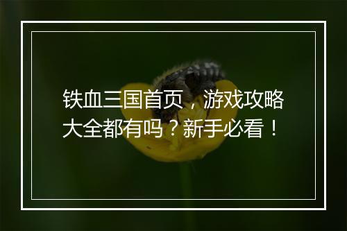 铁血三国首页，游戏攻略大全都有吗？新手必看！