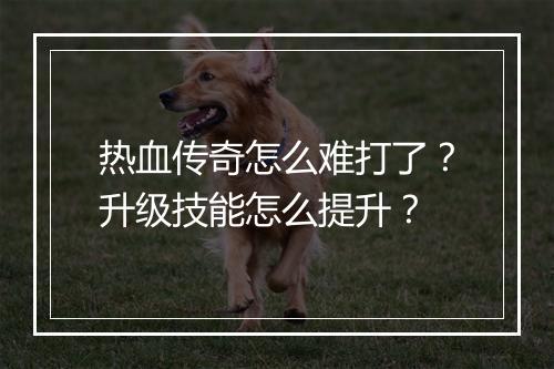 热血传奇怎么难打了？升级技能怎么提升？