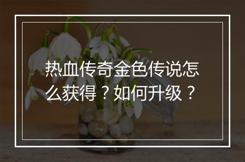 热血传奇金色传说怎么获得？如何升级？