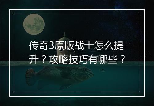 传奇3原版战士怎么提升？攻略技巧有哪些？