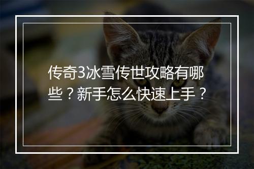 传奇3冰雪传世攻略有哪些？新手怎么快速上手？