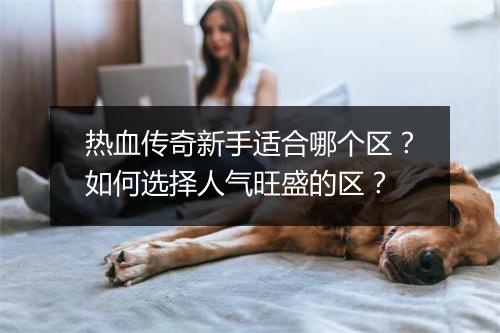 热血传奇新手适合哪个区？如何选择人气旺盛的区？