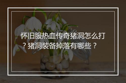 怀旧服热血传奇猪洞怎么打？猪洞装备掉落有哪些？