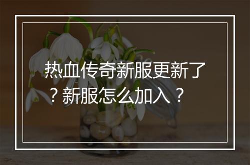 热血传奇新服更新了？新服怎么加入？