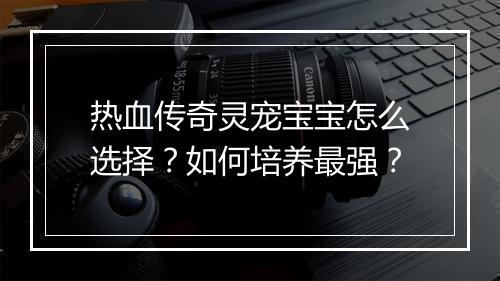 热血传奇灵宠宝宝怎么选择？如何培养最强？