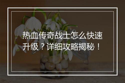 热血传奇战士怎么快速升级？详细攻略揭秘！