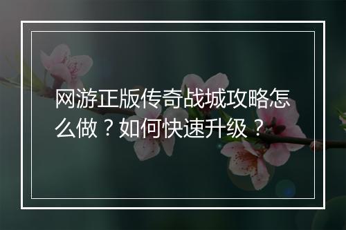 网游正版传奇战城攻略怎么做？如何快速升级？