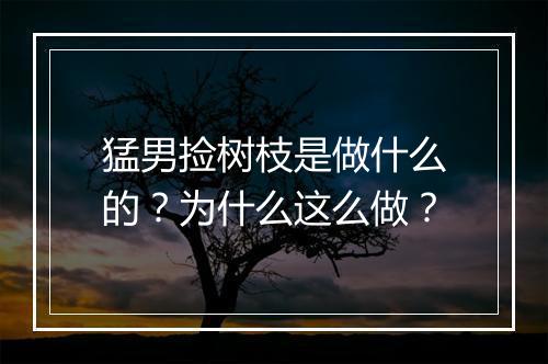 猛男捡树枝是做什么的？为什么这么做？