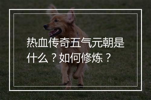 热血传奇五气元朝是什么？如何修炼？