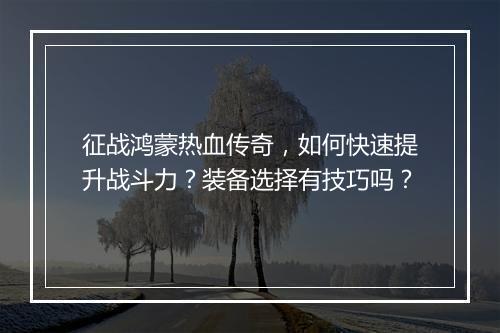 征战鸿蒙热血传奇，如何快速提升战斗力？装备选择有技巧吗？