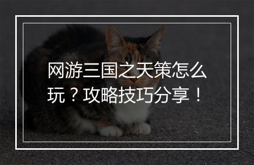 网游三国之天策怎么玩？攻略技巧分享！