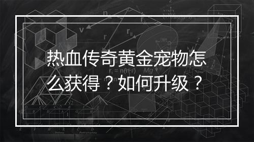 热血传奇黄金宠物怎么获得？如何升级？