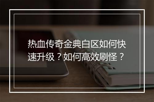 热血传奇金典白区如何快速升级？如何高效刷怪？