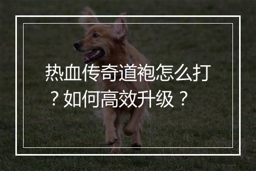 热血传奇道袍怎么打？如何高效升级？