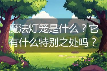 魔法灯笼是什么？它有什么特别之处吗？