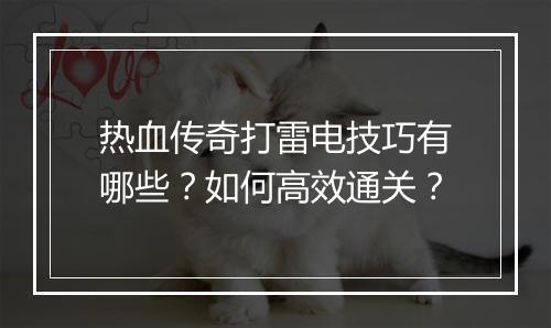 热血传奇打雷电技巧有哪些？如何高效通关？