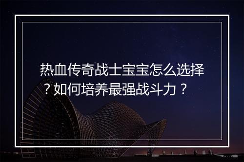 热血传奇战士宝宝怎么选择？如何培养最强战斗力？