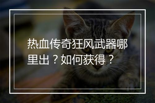 热血传奇狂风武器哪里出？如何获得？