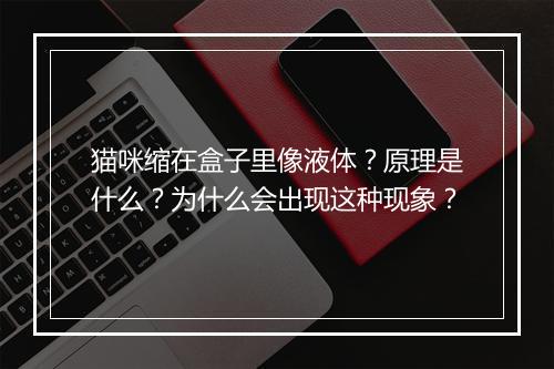 猫咪缩在盒子里像液体？原理是什么？为什么会出现这种现象？