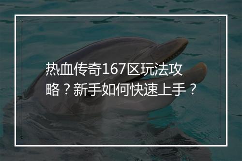 热血传奇167区玩法攻略？新手如何快速上手？