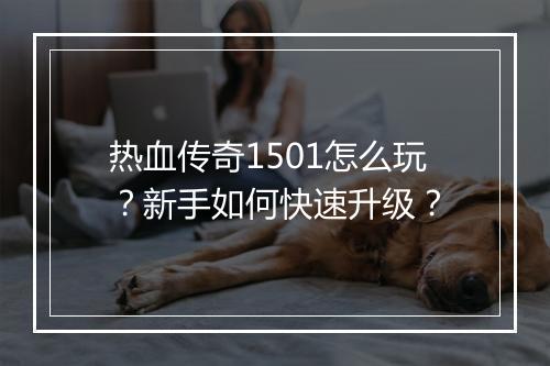 热血传奇1501怎么玩？新手如何快速升级？