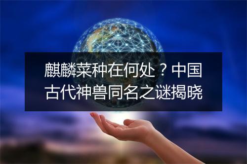 麒麟菜种在何处？中国古代神兽同名之谜揭晓