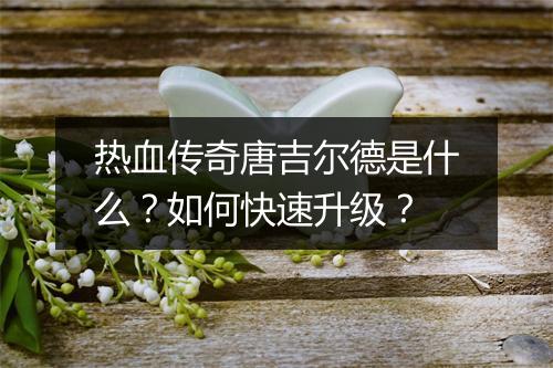 热血传奇唐吉尔德是什么？如何快速升级？