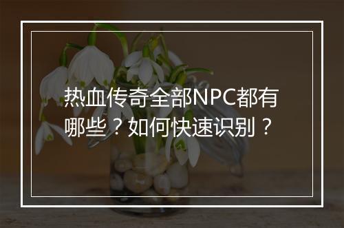 热血传奇全部NPC都有哪些？如何快速识别？