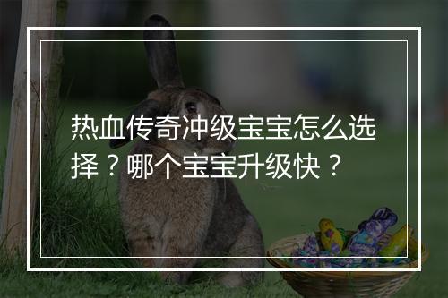 热血传奇冲级宝宝怎么选择？哪个宝宝升级快？