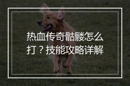 热血传奇骷髅怎么打？技能攻略详解